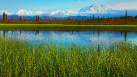 river in beautiful denali park in alaska - river, clouds, grass, mountains