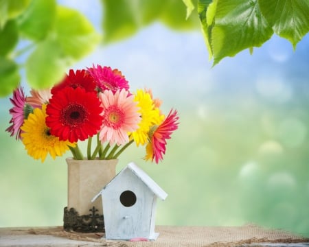 Beautiful flowers - leaves, nature, bird cage, flowers