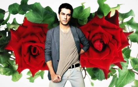 Burak Ozcivit - actor, Burak Ozcivit, turkish, by cehenot, flower, man, white, red, green, rose