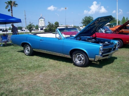 GTO Conv - classic, gm, pontiac, blue