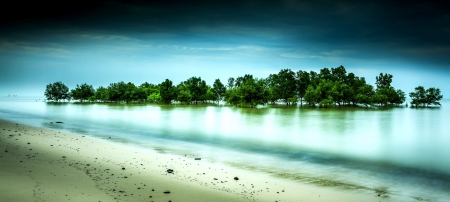 Wetland - wetland, trees, river, grove, water