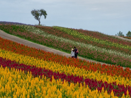 Beautiful Day For A Stroll - women, sky, trees, clouds, men, field, flowers