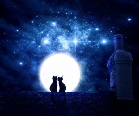 Kittens Romantic Night - chimney, blue, silhouette, stars, roof, two, full moon, sky, kitties