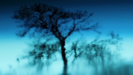 vanish - water, tree, vanish, blue