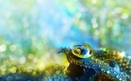 Water drops - glitter, bokeh, macro, water drops, blue, green, dew