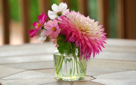 Beautiful flowers - nature, flowers, glass, bloom