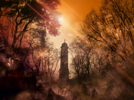 the Needle - fog, tree, tower, sun