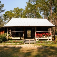 Rundown Shack with Flowers