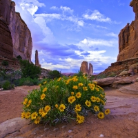 Arches National Park, Utah