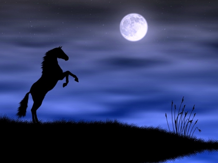 Wild stallion - silouette, moon, evening, horse, wild