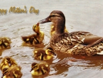 Mother's Day Mallard 1