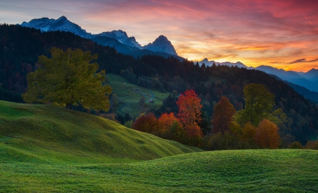 Bavarian Fall Season - autumn, hills, trees, snowy peaks, mountains, sunset, forest, red, blue, beautiful, green, golden, grass, germany