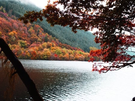 Scottish Scenery - loch, scotland, nature, lakes