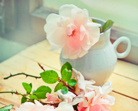 Pink flowers - flowers, petals, pink, jar