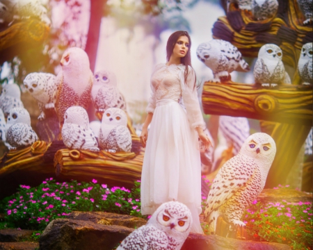 Owl princess - owl, bird, branch, woman