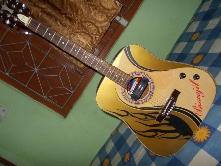 Biswajit Shome's Guitar - creativity, guitar, music, image, guitar wallpapers