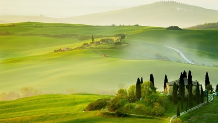 tuscan farms in morning fog - morning, fields, trees, hills, fog, farms