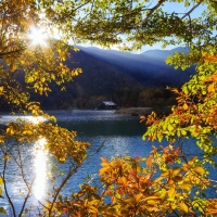 sunrise over a lake in nikko japan