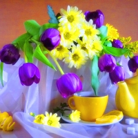 Yellow and purple