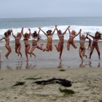 The Bikini Dozen