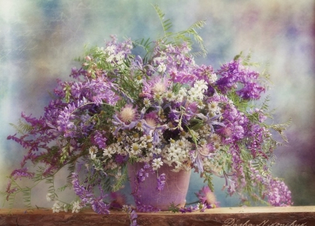 â™¥ - nature, purple, flowers, soft