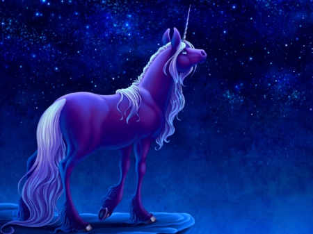 UNICORN - looking, blue, night, unicorn, stras, sky