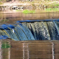 Fishes jumps over Venta fall.