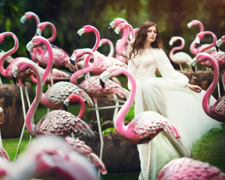 Beautiful girl - woman, flamingos, pink, animals, flamingo