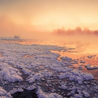 frost covered grass on a lake in morning fog