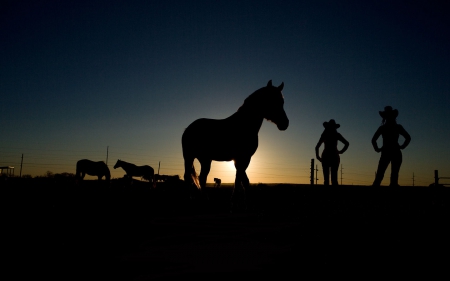 Cowgirls And Horses - style, girls, westerns, women, hats, ranch, cowgirls, horses, sunsets, rodeo, fun, female, fashion