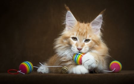 â™¥ - fluffy, cat, kitten, ginger, white, play, pink, animal, orange