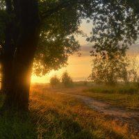 wonderful countryside sunset in germany