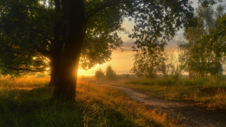 wonderful countryside sunset in germany - countryside, sunset, trees, road