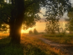 wonderful countryside sunset in germany