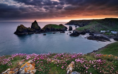 Kynance cove - oceans, water, fields, landscape, scene, sea, HD, sunrise, spring, flowers, dawn, sunset, nature, dusk, mountains, wallpaper