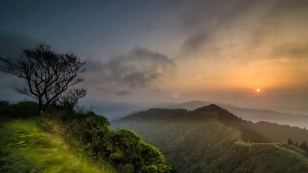 fog over mountains at sunrise - range, wind, fog, sunrise, mountains