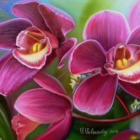 â˜…Orchid Macroâ˜…