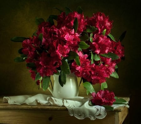 Still life - flowers, red, nature, soft