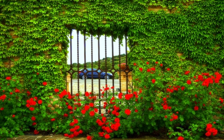 *Ventana Hojas* - summer, love four seasons, seasons, attractions in dreams, beautiful, flowers, spring, window, leaves, garden, car, creative pre-made, photography, stunning, trees, nature