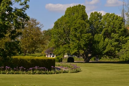 Beautiful park - hurdles, grass, lawn, tree, park