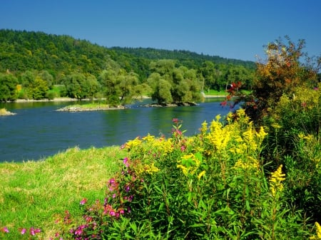 Isar river - greenery, trees, Germany, summer, flow, beautiful, Austria, grass, calmness, flowers, river, shore, riverbank, serenity, sky