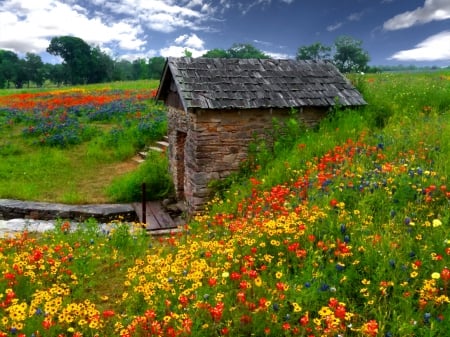 Spring house - stone, carpet, summer, beautiful, spring, grass, meadow, freshness, flowers, wildflowers, nature, field, cottage, sky