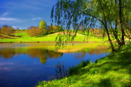 Calm lake - calm, quiet, summer, blue, beautiful, spring, grass, willow, reflection, tree, river, shore, nature, serenity, lake, sky