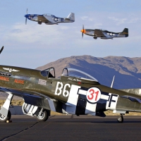 P 51 Mustang Speedball Alice