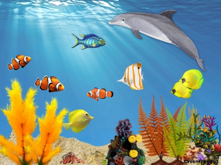 UNDER THE SEA - fish, creation, plants, sea