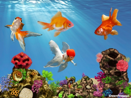 GOLDFISH TANK - GOLDFISH, ART, PLANTS, CREATION