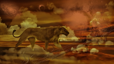 Lioness - sky, cloud, background, liones, thorn, chursh