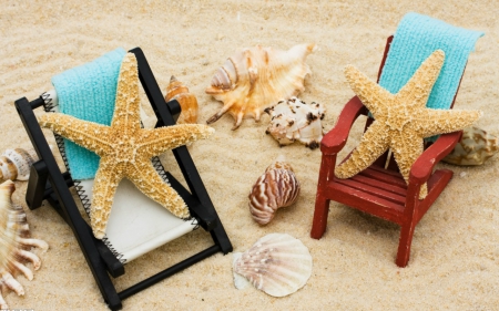 Starfish - sands, starfish, shells, chair