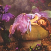 Sleeping fairy