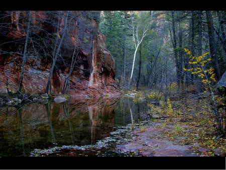 Creek - nature, creeks